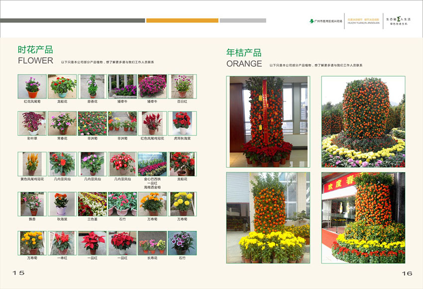 廣州花場苗木畫冊設(shè)計(jì),花場苗木畫冊設(shè)計(jì)公司
