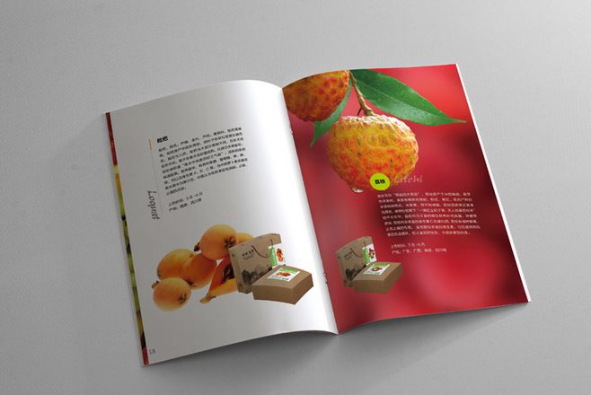 宣傳冊(cè)設(shè)計(jì)一般一頁(yè)多少錢(qián)？宣傳冊(cè)的特點(diǎn)有哪些？