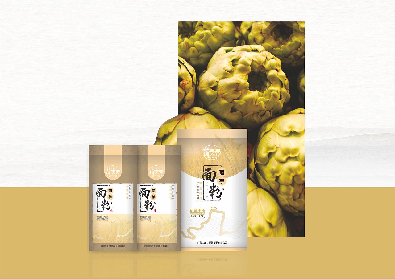 包裝設計專業(yè)能考公務員嗎？包裝設計有哪些課程？
