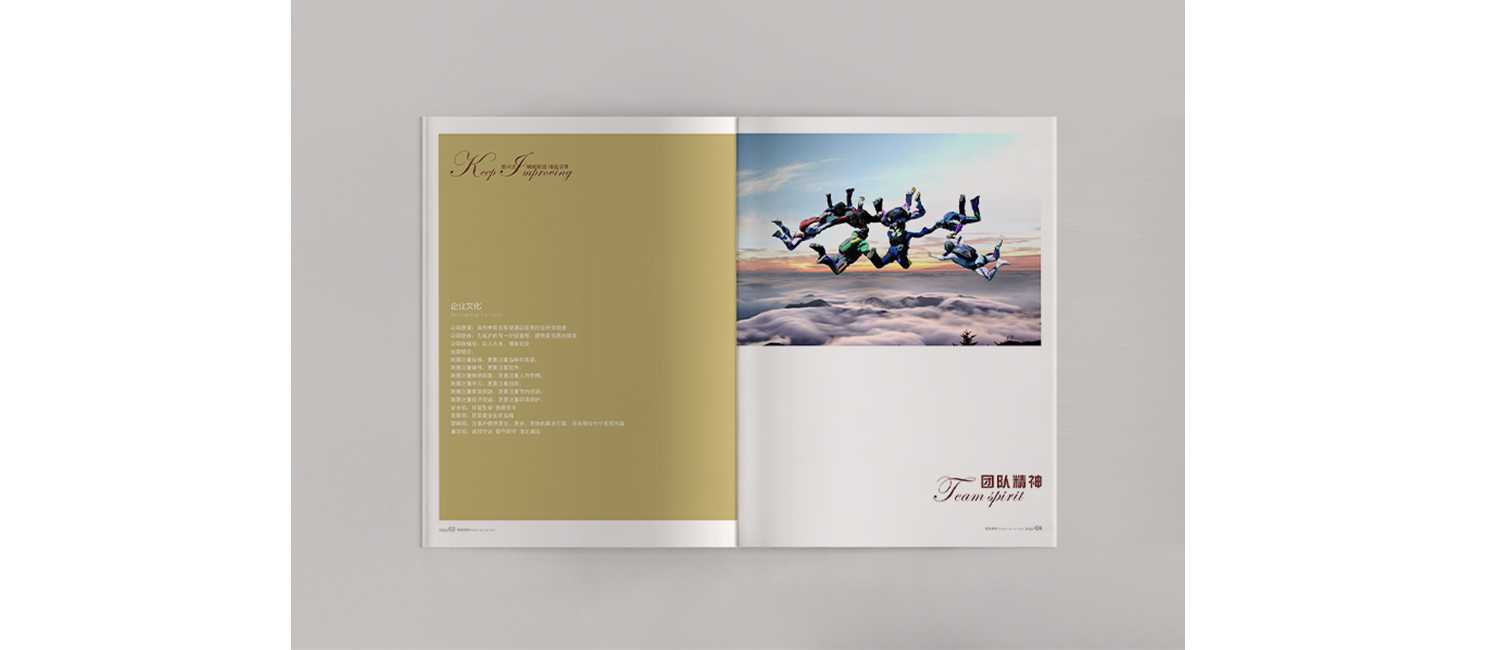 畫冊(cè)設(shè)計(jì)應(yīng)該需要怎么的設(shè)計(jì)理念？